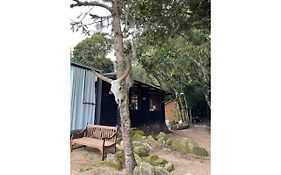 Cabana Da Mata